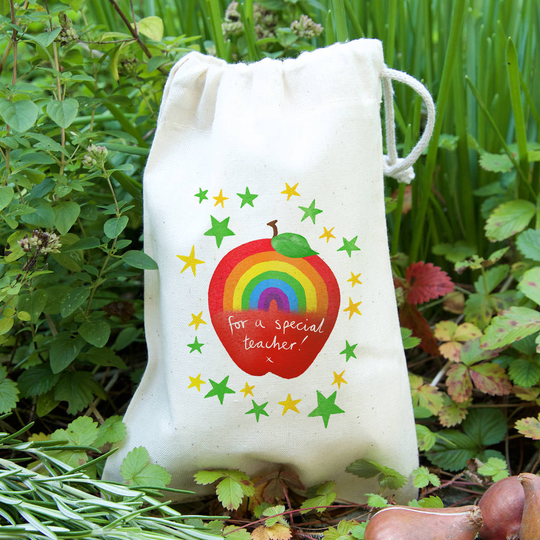 Rainbow Apple Teacher Gift Bag With Seeds