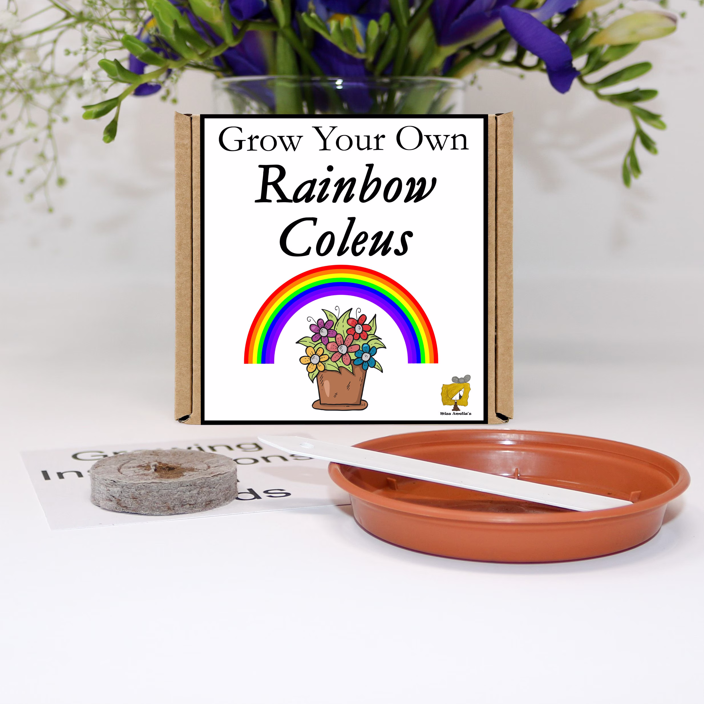 Grow Your Own Rainbow Coleus Plant Kit. Unusual, Gardening Gift, Birthday, Kids, Children, Him, Her, Seeds, Teacher Gift