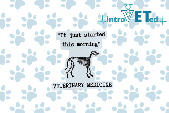 Veterinarian Sticker, Dog Vet Tech Student Nurse Gift, Veterinarian