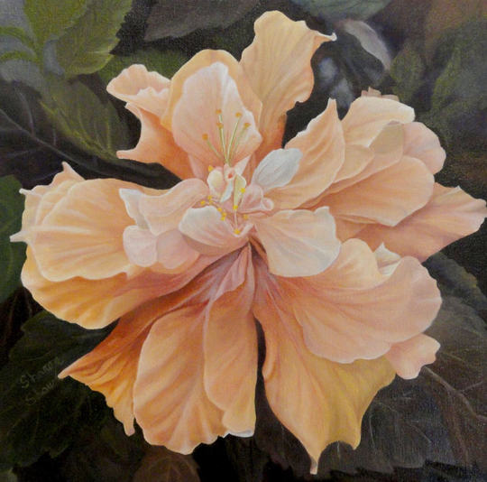 Orange Double Hibiscus Flower - Digital Print