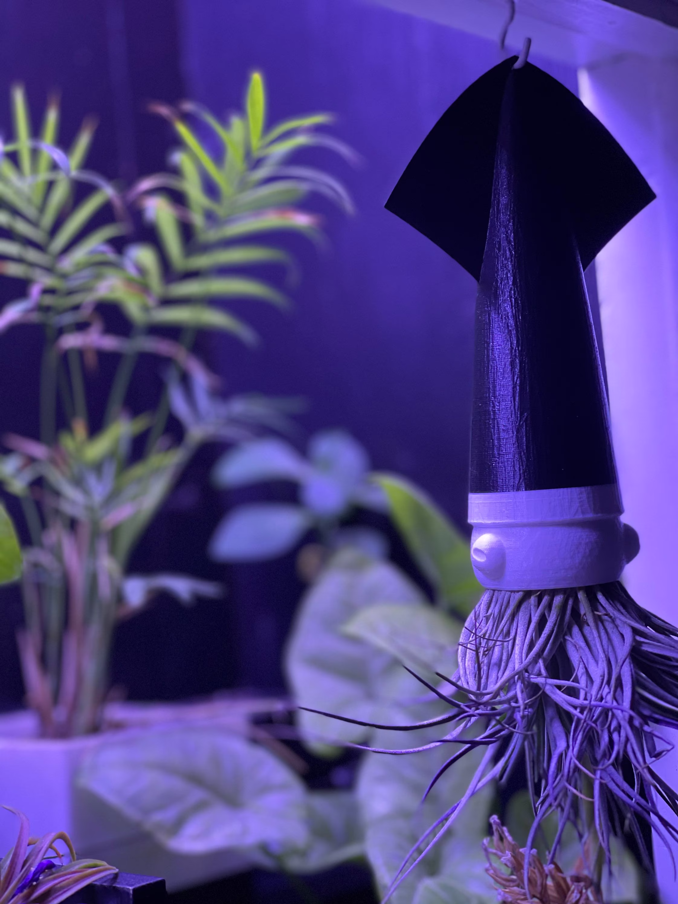 Squid Airplant Holder