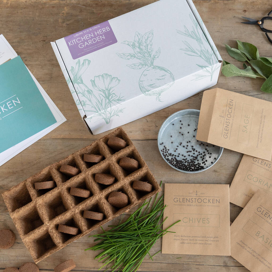 Grow Your Own Kitchen Herbs Kit