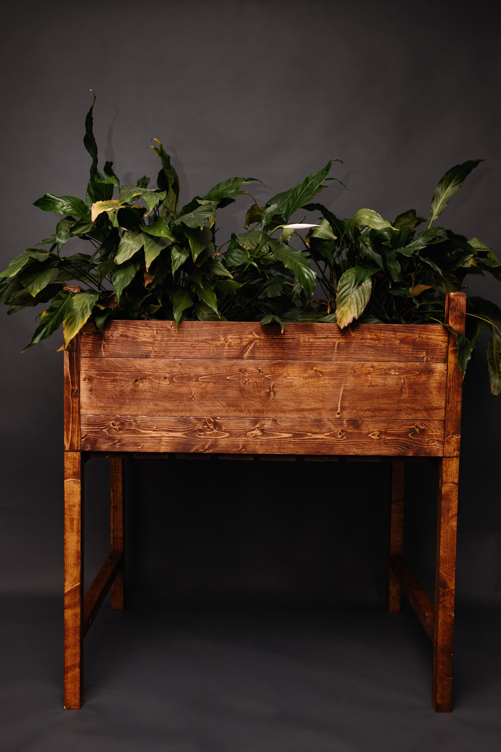 The Cacilia Raised Garden Bed
