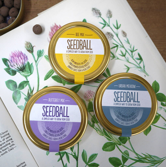 Natural Wildflower Tin Collection Set