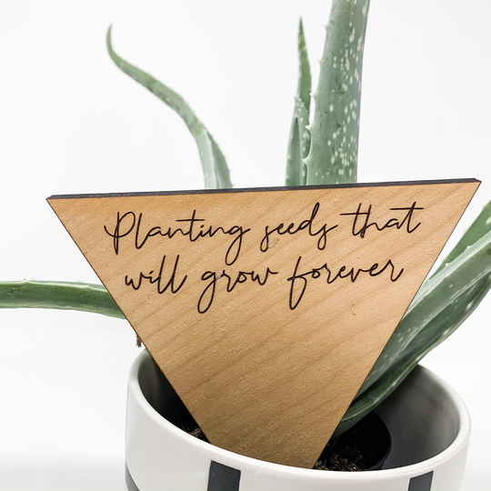 Planting Seeds That Grow Plant Tag - End Of School Year Gift Teacher Idea Garden Stake Flower Pot Appreciation