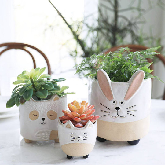 Pack Of Three Ceramic Animal Succulent Plant Pots