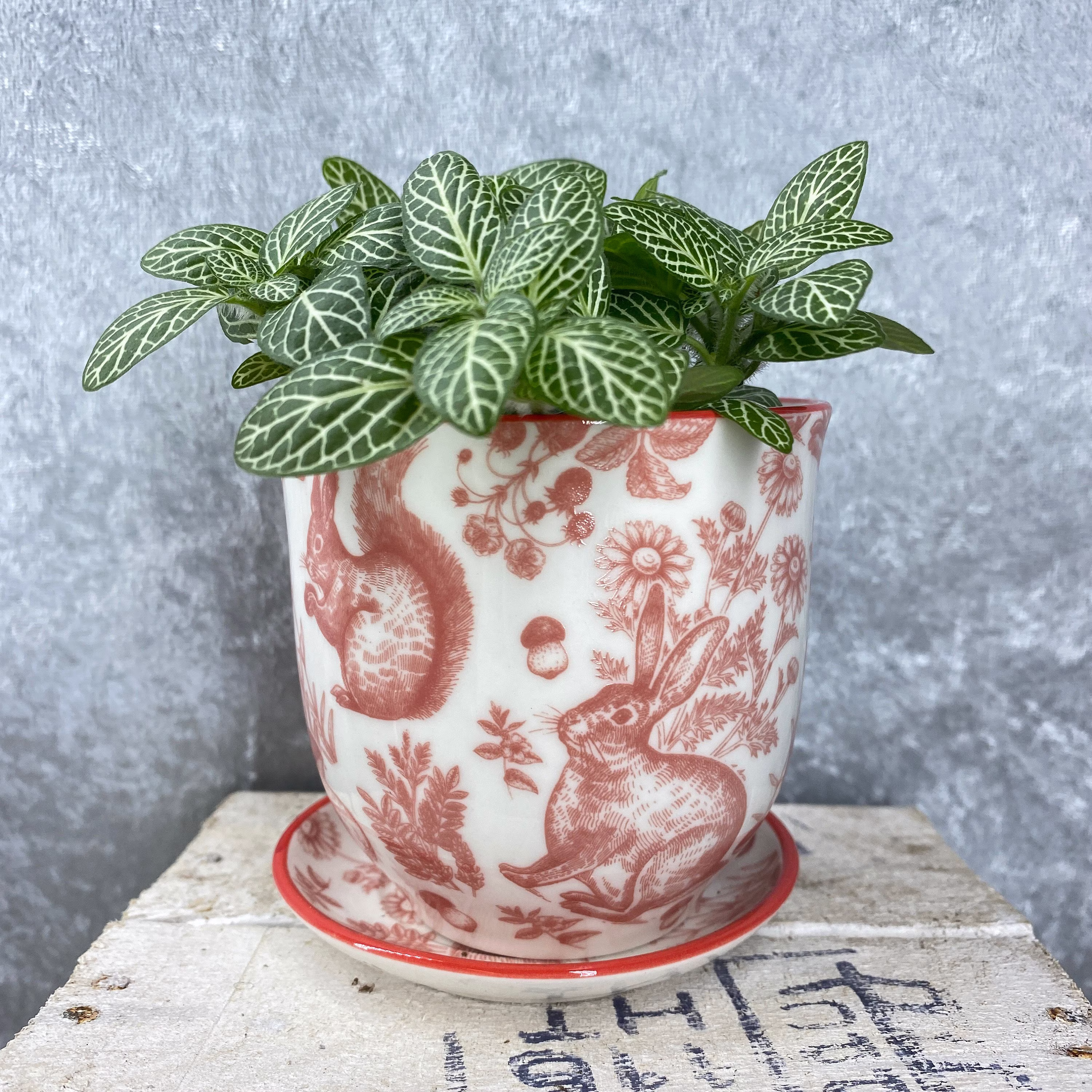 Ceramic Nature Planter With Saucer For Houseplants - Cute Vintage Style Gift