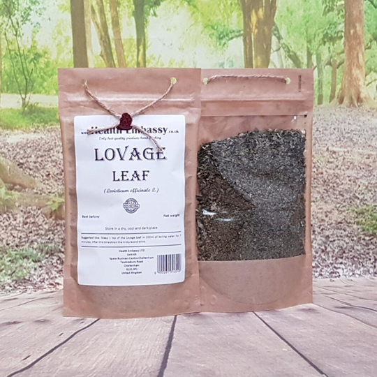 Lovage Leaf/Levisticum Officinale L Herbal Tea Health Embassy