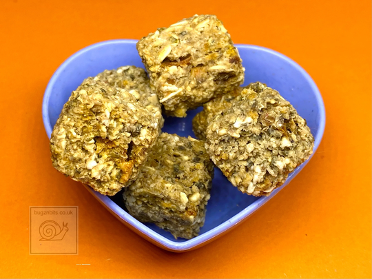 Giant African Land Snail Superfood Treats With Apple, Blueberry & Carrot