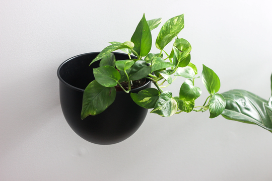 Black Metal Minimalist Round Wall Planter Pot