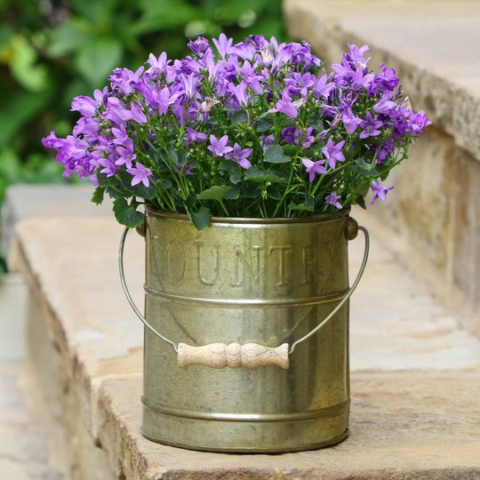 Country Cottage Planter