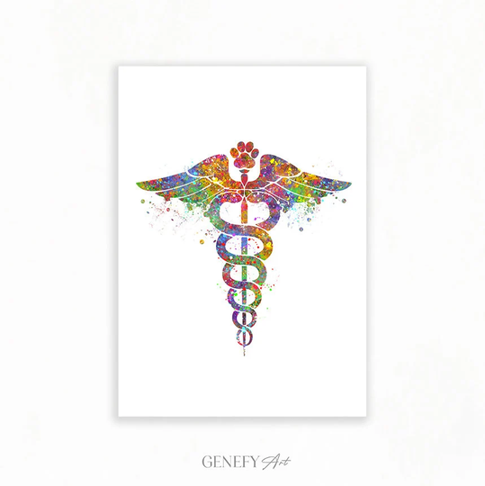 Veterinary Caduceus Medical Symbol Watercolor Art Print - Gift For Vet Clinic Doctors As80