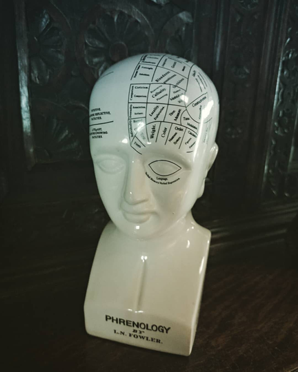Vintage Phrenology Bust Ceramic Bank