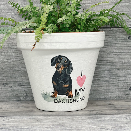 Personalised Dachshund Dog Plant Pot Gift .dog Memorial Keepsake Flower Planter. Dog Lovers Gift. Birthday Pedigree Pet Pot