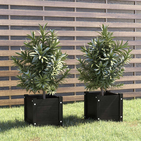 Asupermall - Garden Planters 2 pcs Black 31x31x31 cm Solid Pinewood
