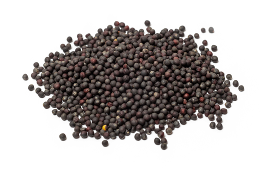 Broccoli Seeds Sulforaphane Rich - Organic, Calabrese