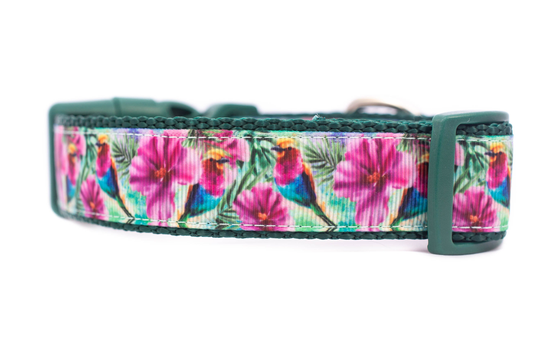 Tropical Hummingbird Dog Collar - 1 Inch Wide Buckle Or Martingale Collar Nature Hawaiian Floral Dog Hibiscus Birds