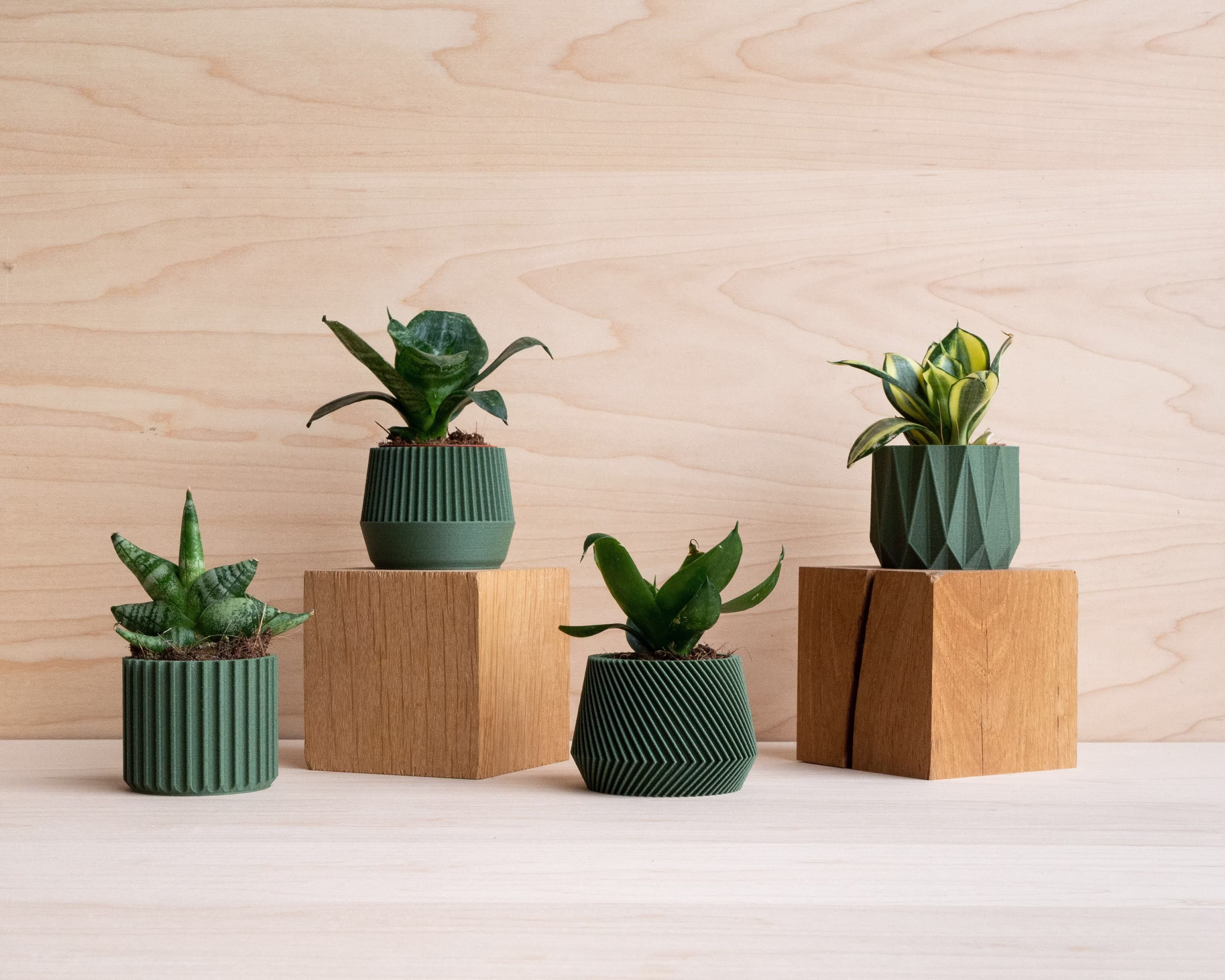 Set Of 4 Green Small Indoor Planters - Original Planter Gift