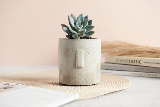 Nordic Style Concrete Plant Pot, Handmade Pot With Nordic Face. Perfect For Indoor Or Outdoor Use