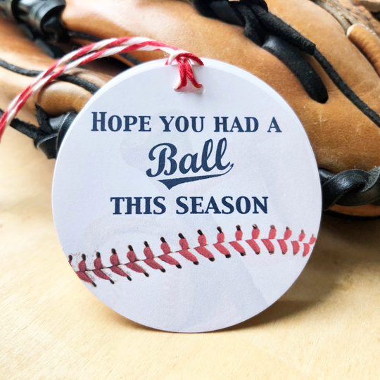 Baseball Party Tags, End Of Season Gift Tag, Thank You Had A Ball, Tee Rookie Little Slugger