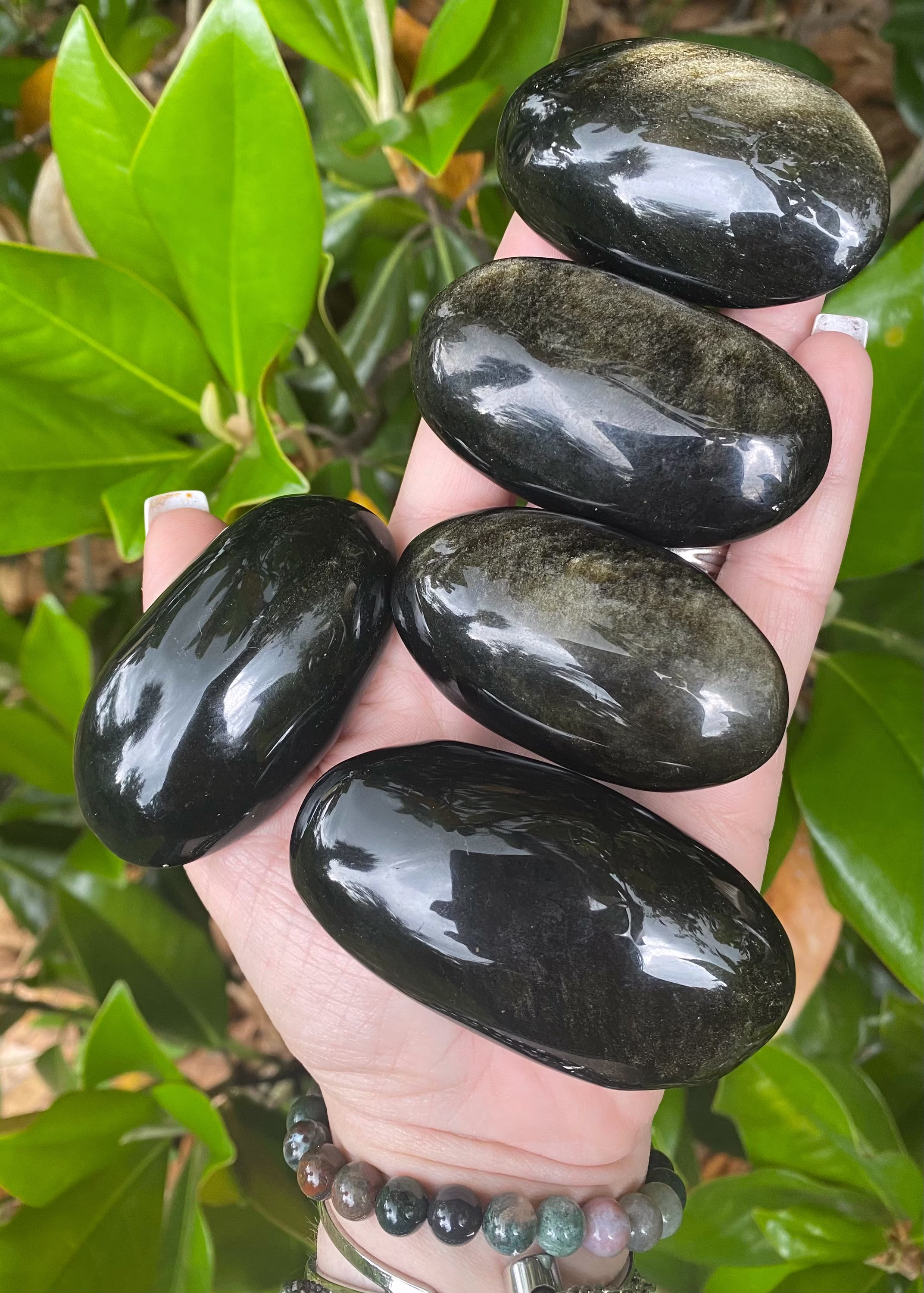 Gold Sheen Palm Stone, Obsidian