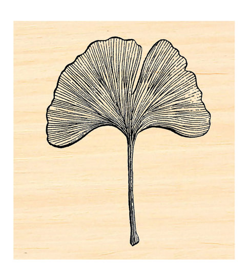 P129 Ginkgo Biloba Leaf Rubber Stamp