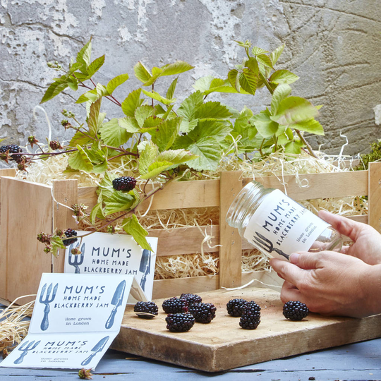Grow Your Own Blackberry Jam Gift Set