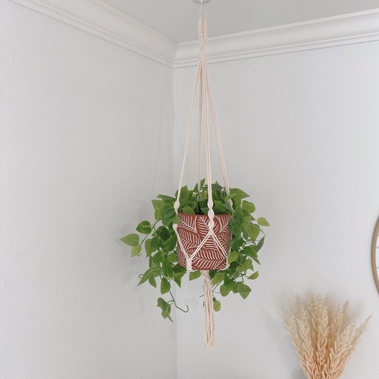 Boho Macrame Plant Hanger