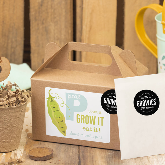 Kids Garden Pea Growing Seed Kit