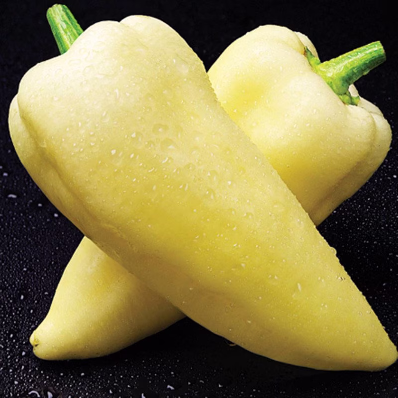Sweet Pepper Yummy Cream Seeds Heirloom Non Gmo For Planting | 204632