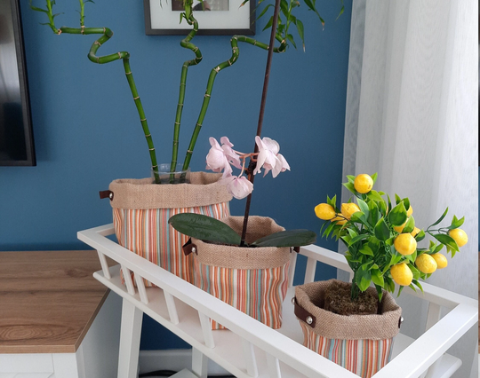 Fabric Basket | Reversible Canvas Storage & Organizer Bin Washable Home Decor Plant 3 Pcs Set