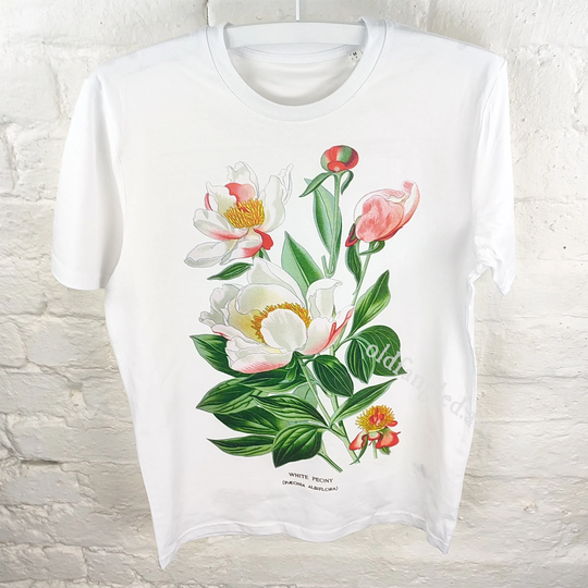 Athena Peony | 1896 - Unisex Organic T-Shirt, Vintage Style Botany T-Shirt, Floral T-Shirt
