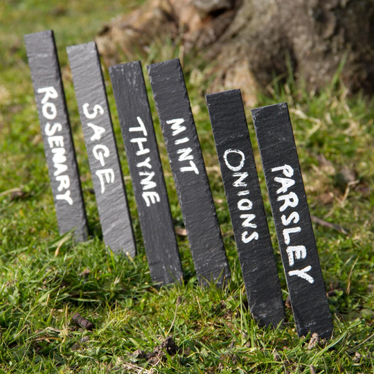 Set Of 6 Slate Plant Markers | Sr34