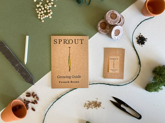 Grow Your Own French Beans Starter Pack