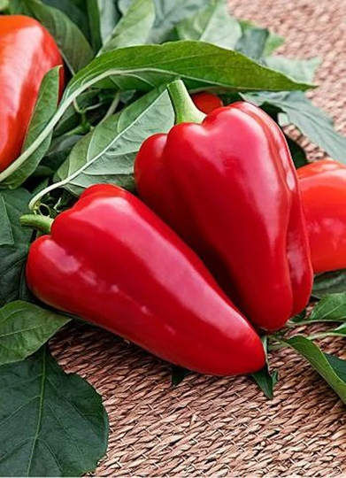 Sweet Pepper Victoria Seeds