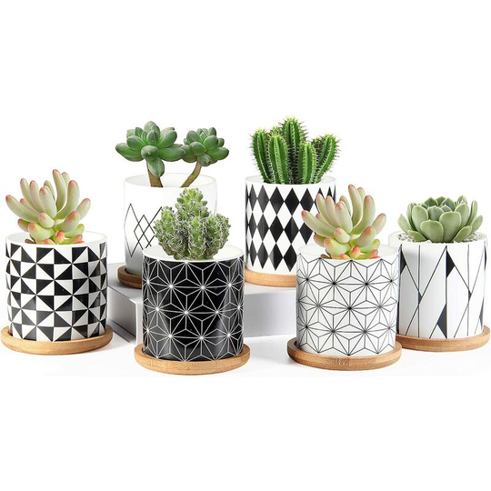 Briday - Succulent Pots, 3 inch Ceramic Mini Succulent Planter Pot, Geometric Pattern Round Small Flower Pots with Drainage and Bamboo Tray, Pack of