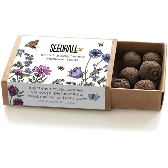 Seedball Wildflower Mix Seed Boxes, Set Of Three, Balls, Bombs, Party Favours, Wedding Gifts For Mum, Dad, Teacher