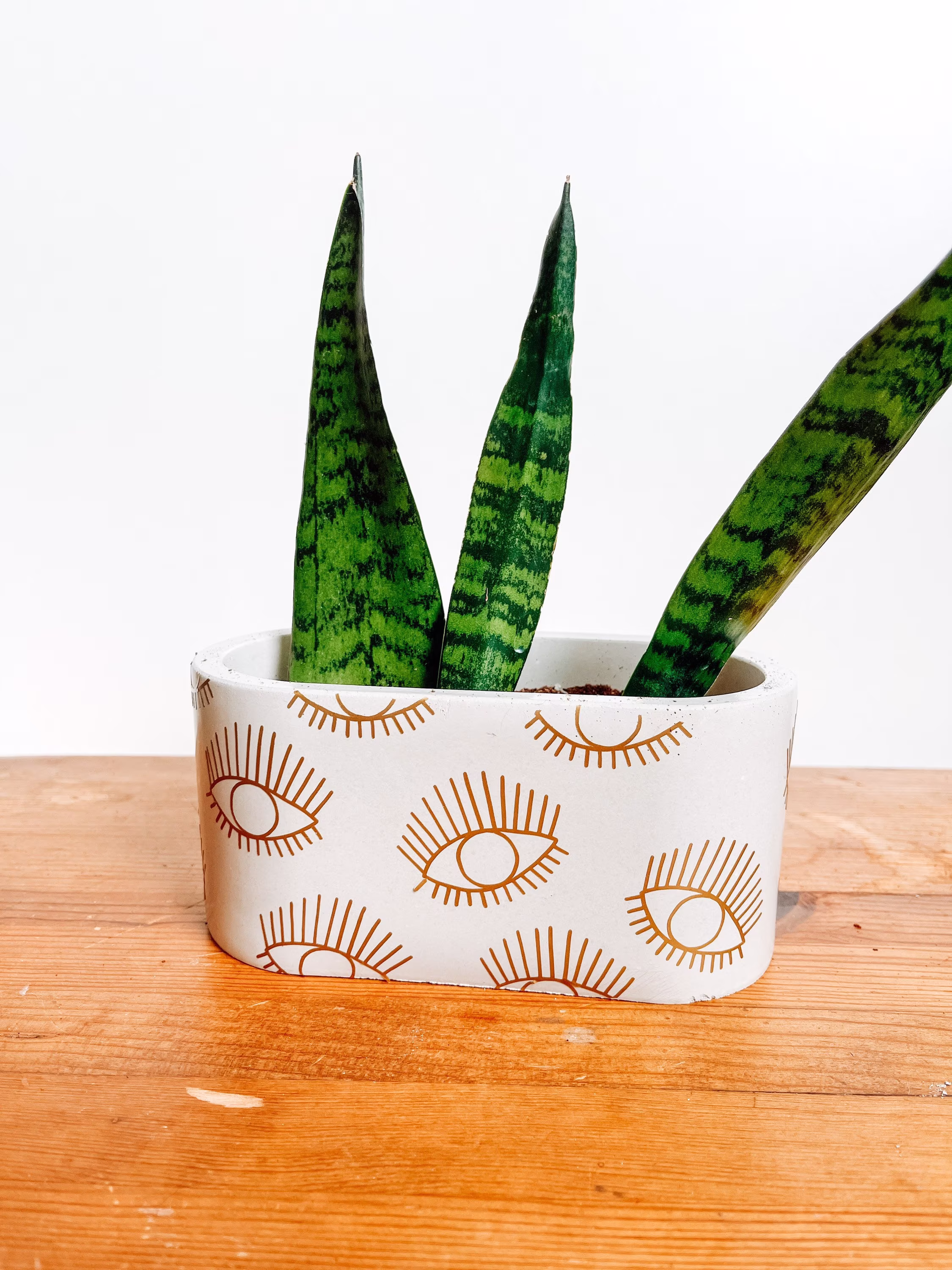 Evil Eye Cement Planter Oval/ Trendy Decor/ Large Indoor /Modern Planter/ Spring Decor