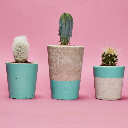 Set Of Three Turquoise Concrete Pots W/Cacti