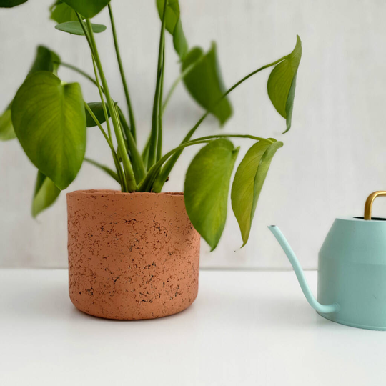 Sunset Concrete And Recycled Paper Cylinder Planter