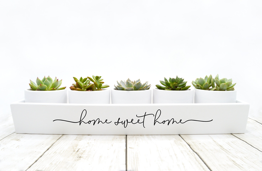 Home Sweet Plant Pot | New Gift Housewarming Indoor Succulent Planter Set Plants Not Included | Matte White