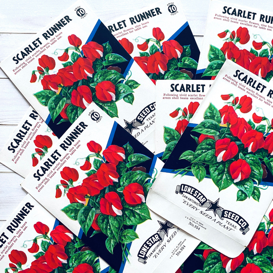 Vintage Flower Seed Packets Empty - Scarlet Runner Set Of 4 Ephemera, Junk Journal, Craft Supplies, Packs