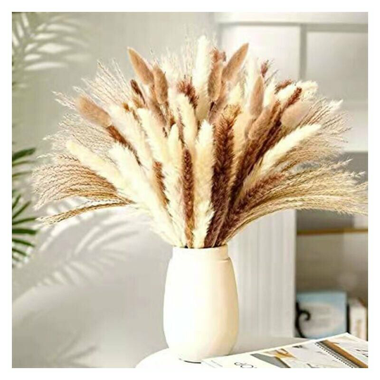 70 Natural Dried Pampas Grasses Decoration, Dried Flowers Bouquet, Pampas Flowers Compositions Dried White Beige, Pampas Feathers, Plants for Home