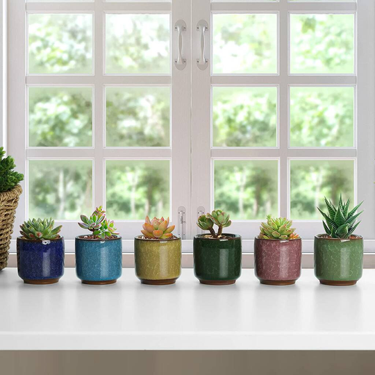 Multi Coloured Set Of Six Ceramic Planters With Tray