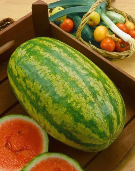 Fruit - Water Melon Striped Klondike Blue Ribbon 12 Premium Quality Seeds