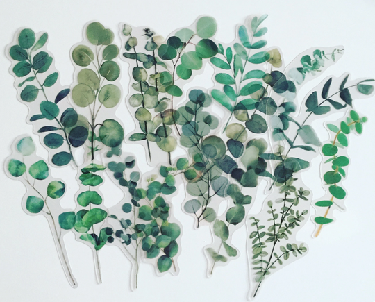 Eucalyptus Branch Stickers, Greenery Planner Leaves Foliage Botanical Scrapbook/Crafting Stickers