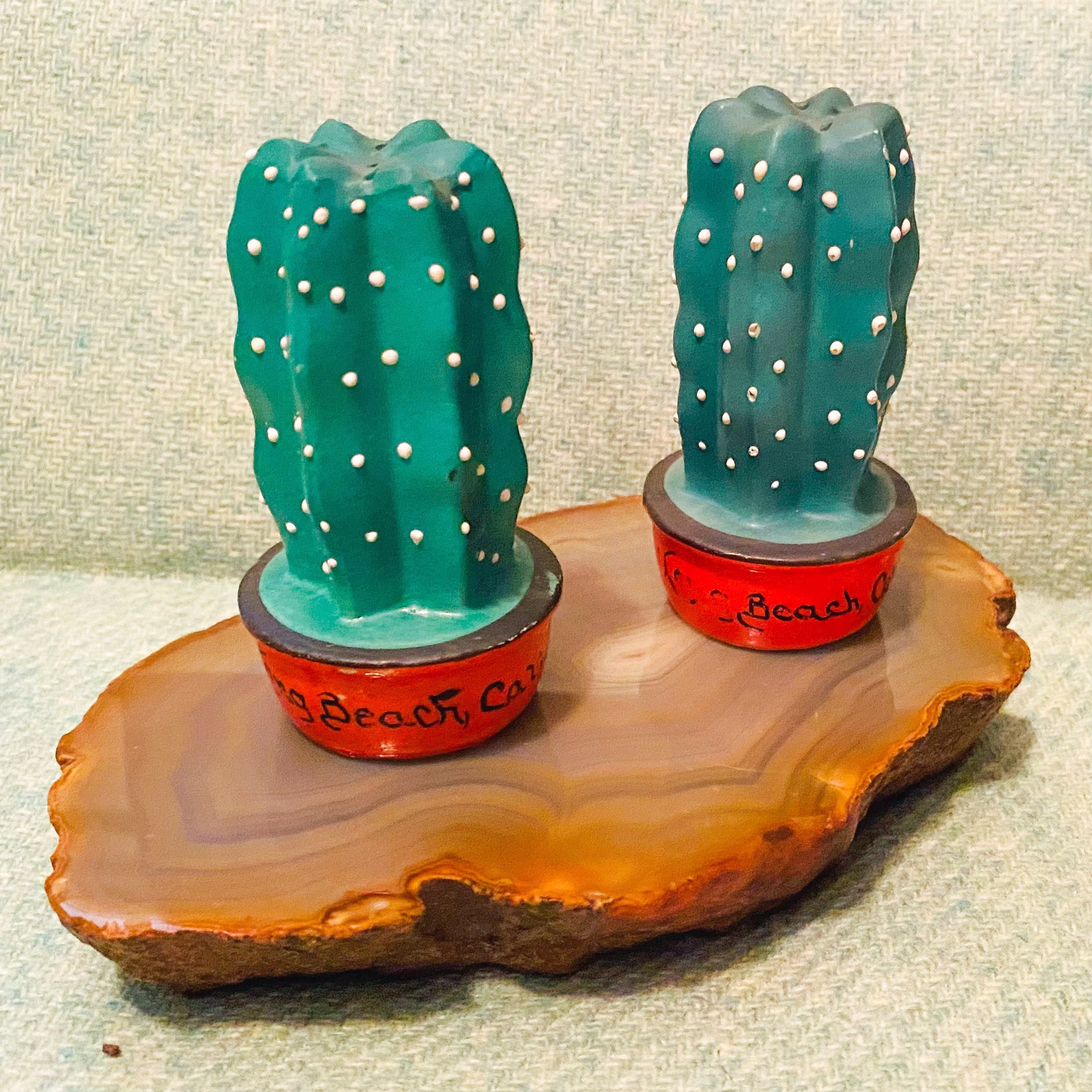 Cactus "Long Beach California
