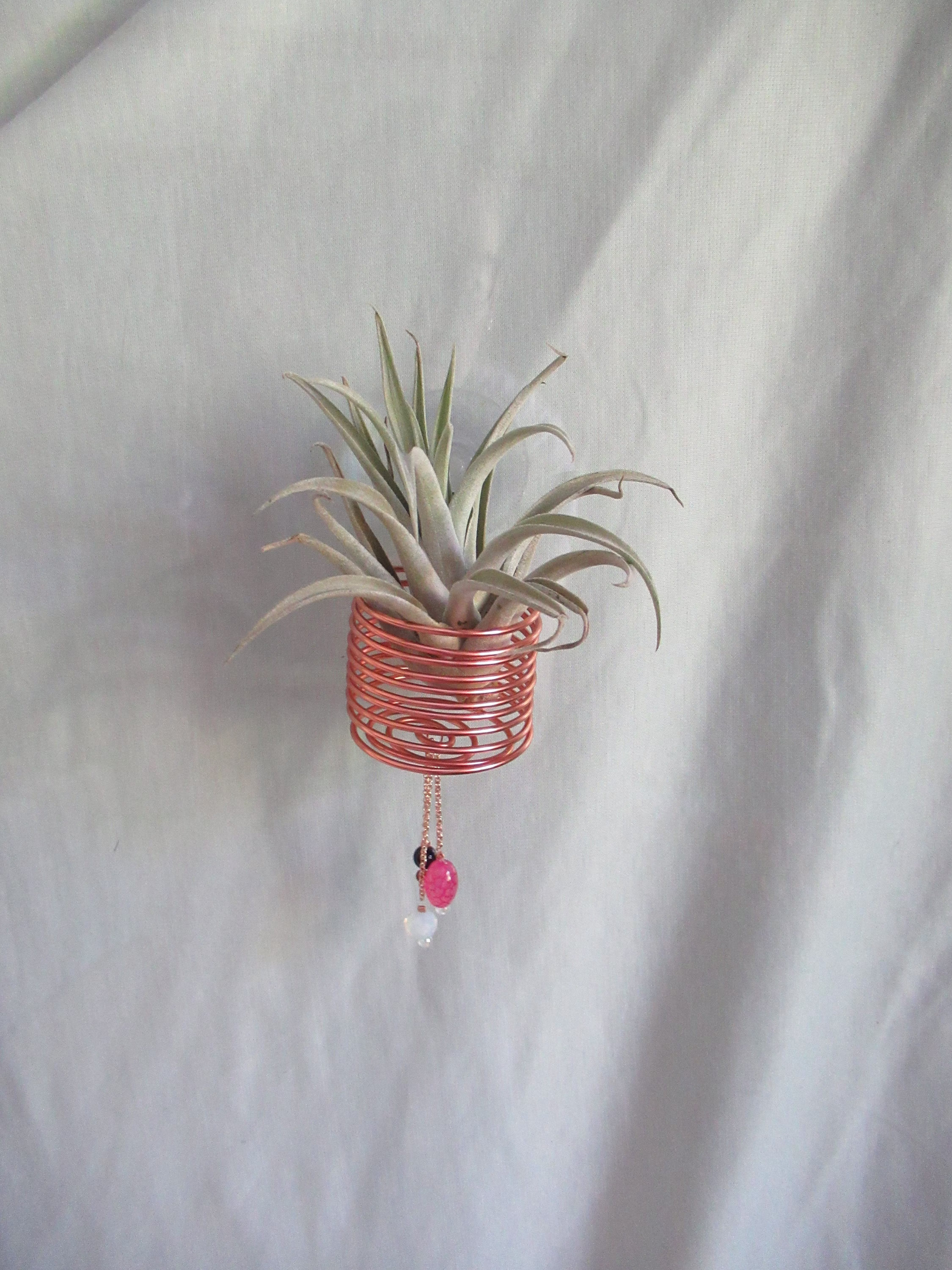 Window Wire Air Plant Hanger X-Large Rose - Tillandsia