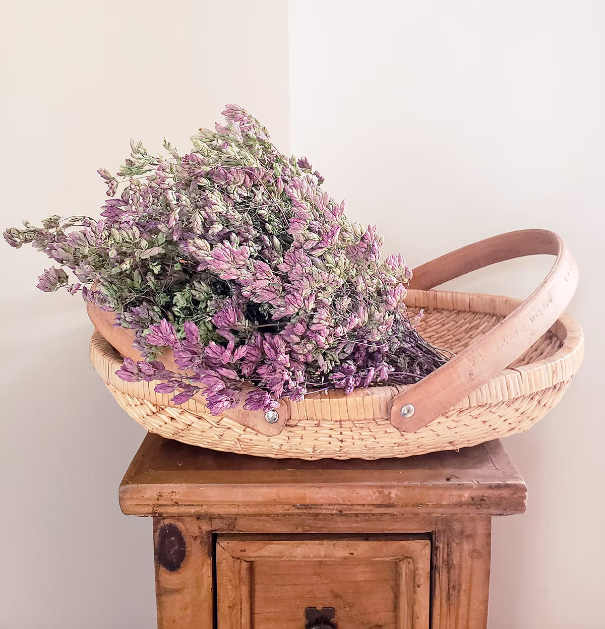Dried Purple Oregano Santa Cruz | Flowers Wild Herb Pink Florals Sml Flower Bundle