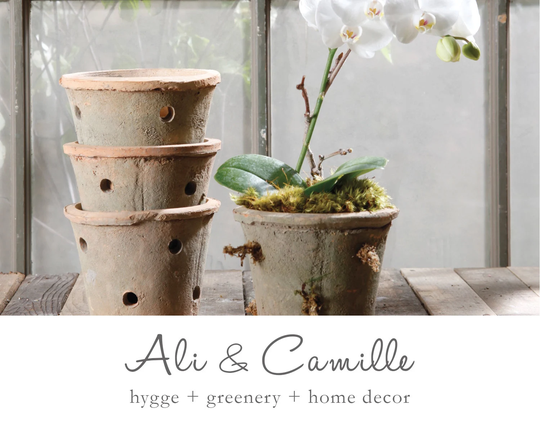 Terra Cotta Orchid Pot, Aged, Farmhouse Terra Planter, Herb Bulb Planter